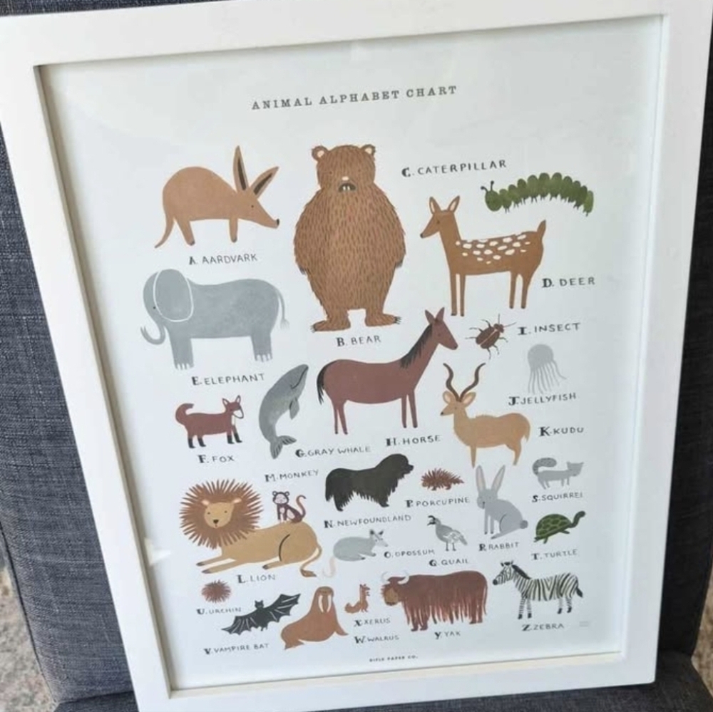 Animal Alphabet Chart Framed 12x15 Inches